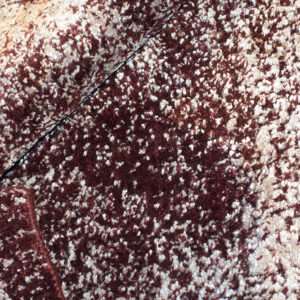 Tappeto Jacquard 152X94